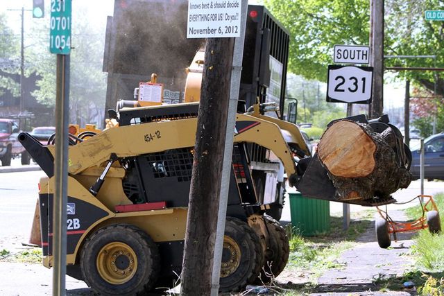 Tree Cutting & Trimming St. James Image